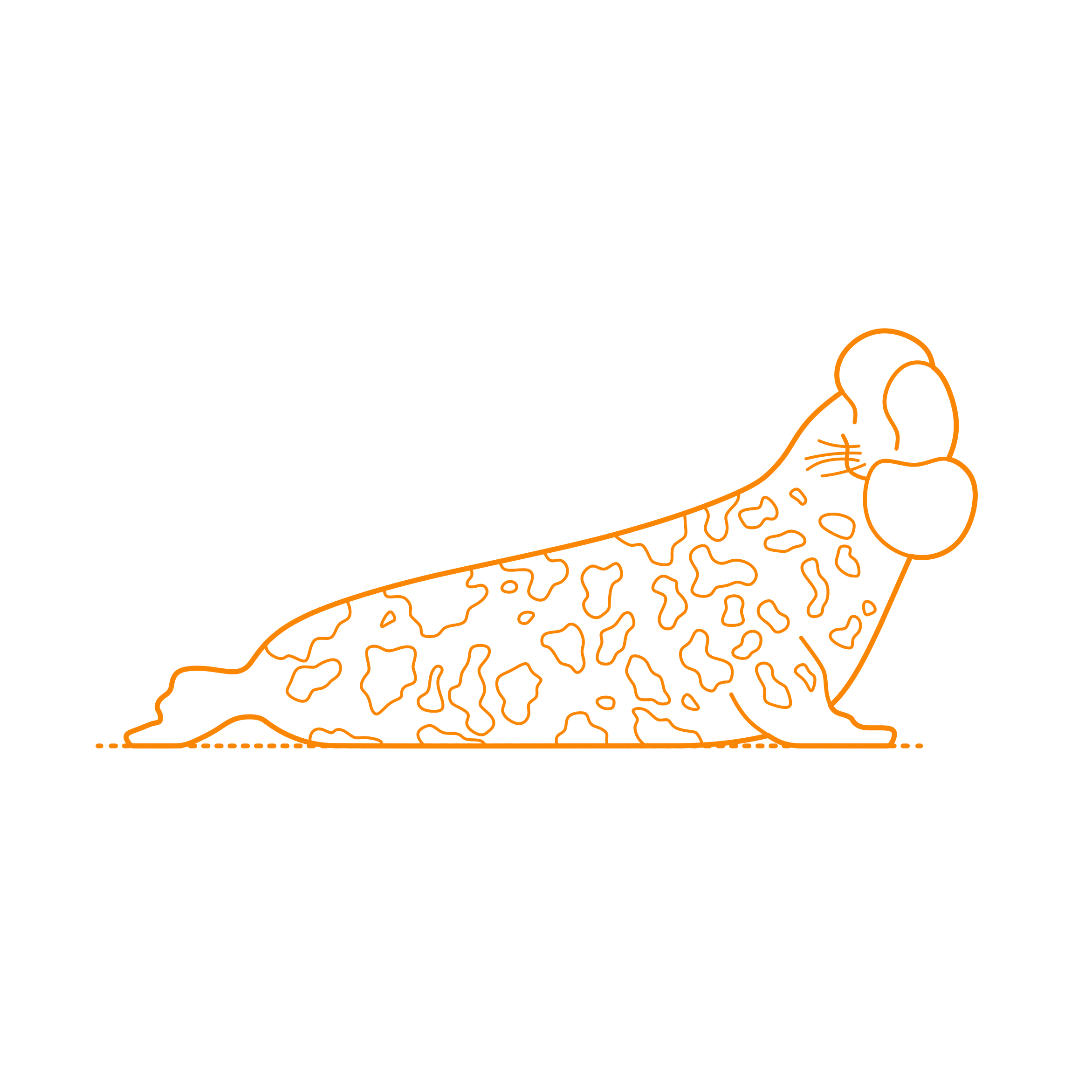 Animals Seals Hooded Seal Silhouette Cutting Svg Files Free Vectors